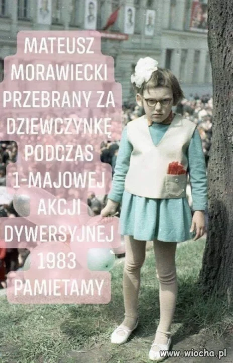 Matołusz dywersant