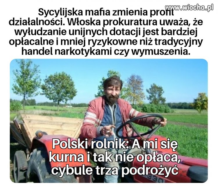 Wiocha+
