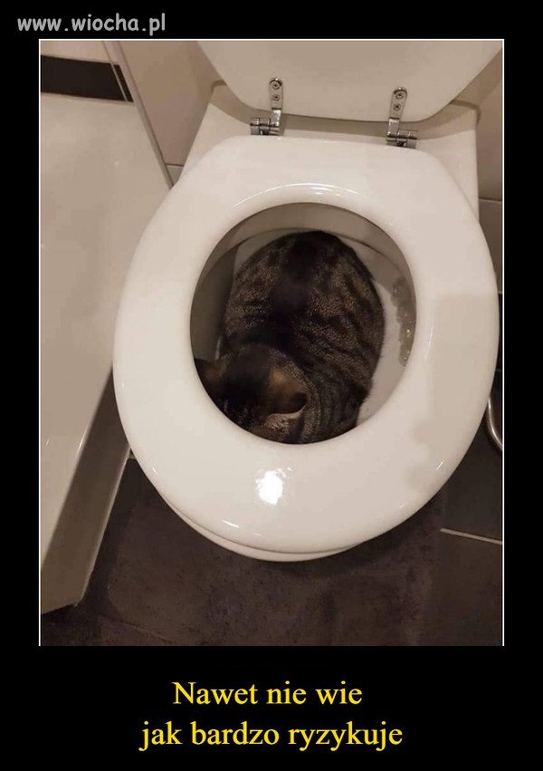 Życie na krawędzi