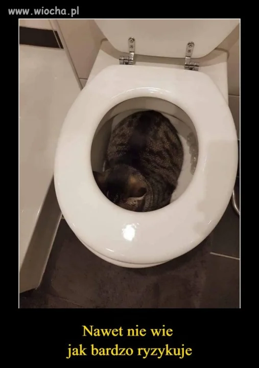 Życie na krawędzi