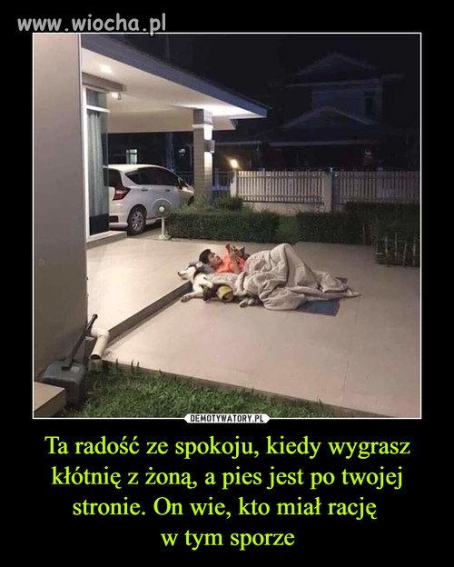 Prawdziwy przyjaciel 
