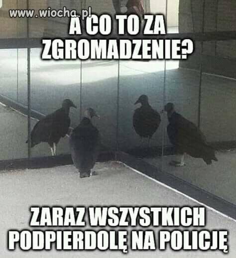 Znaleziono w internecie.