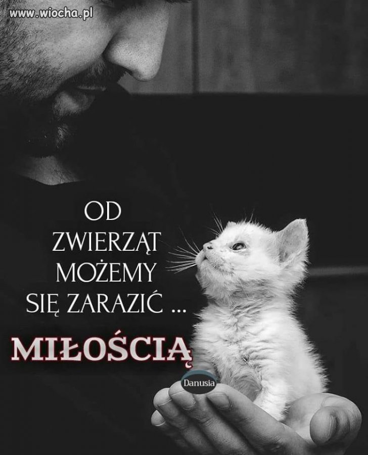 Tak na osłodę 