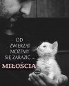 Tak na osłodę 