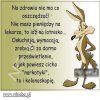 W czasach rządów PiSu...