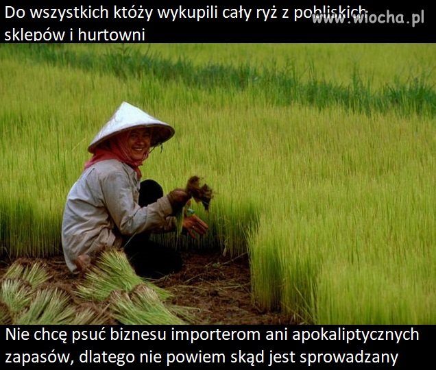 Z kąd mamy ryż