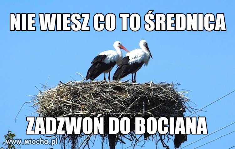 Może KRRiT powinna sprawdzić