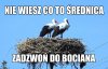 Może KRRiT powinna sprawdzić