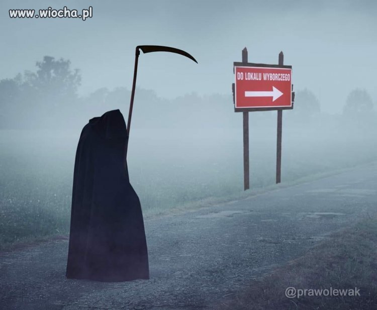 Wybory 10.05.2020