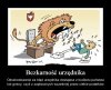 Bezkarność 