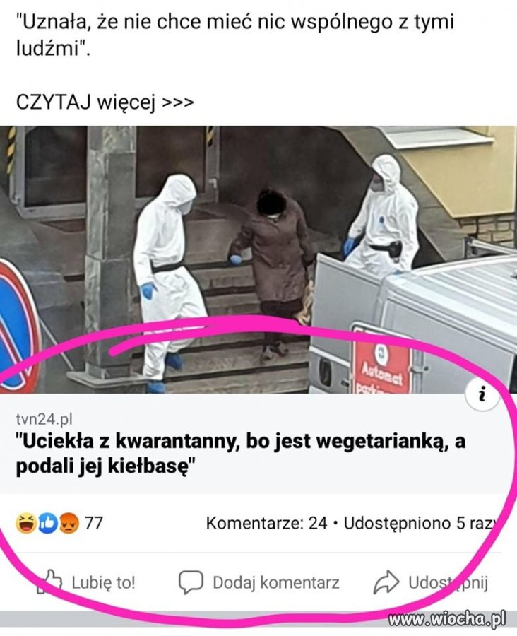 Jak się w główce psuje od zielonego.