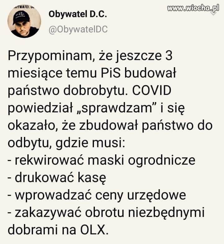 Państwo 