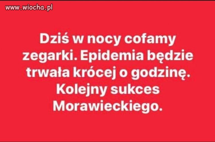 Pinoki jest niemożliwy