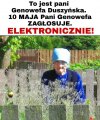 Głosowanie 