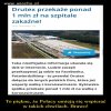 Brawo wielki szacunek.