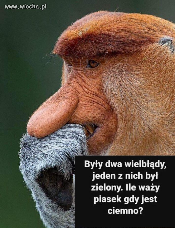 Fizyka