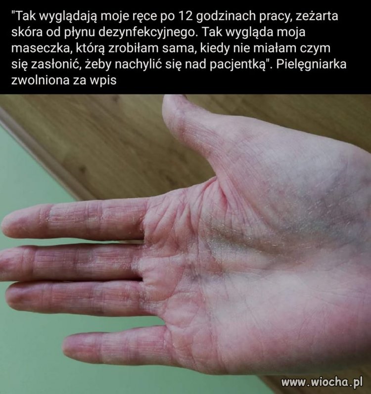 Fani pisu