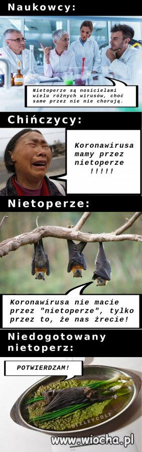 Zupa z 