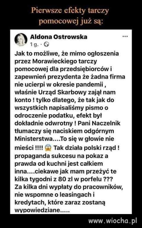 Tarcza pomocowa