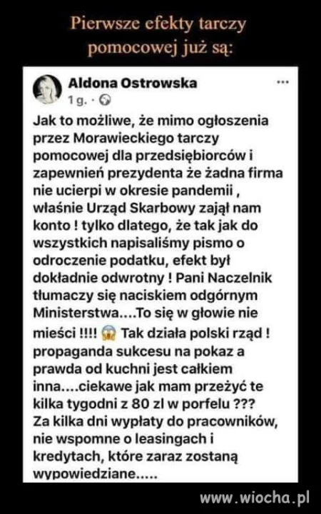 Tarcza pomocowa