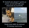 Najlepszy przyjaciel człowieka .