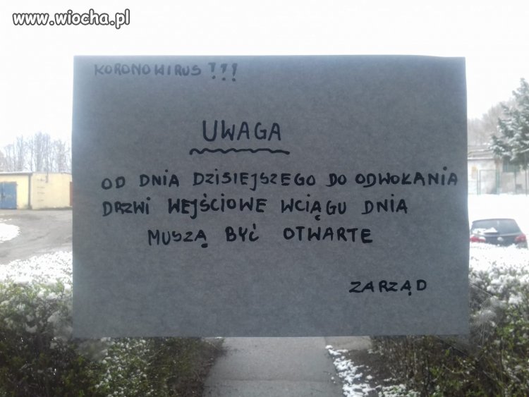 Mądra inaczej