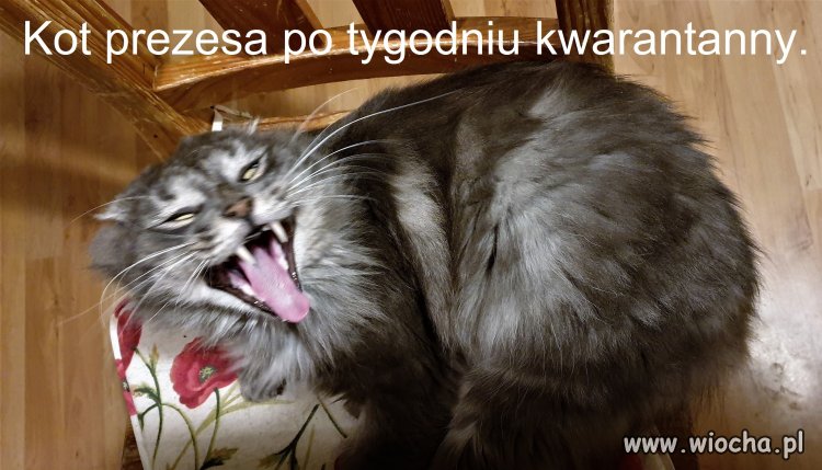 Bez tytułu.