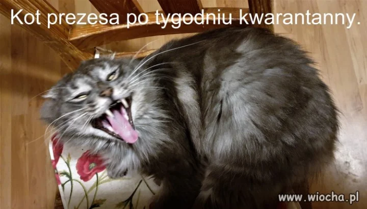 Bez tytułu.