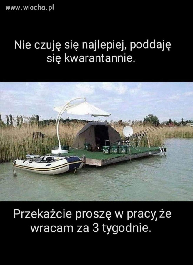 Tymczasem 