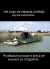 Tymczasem 