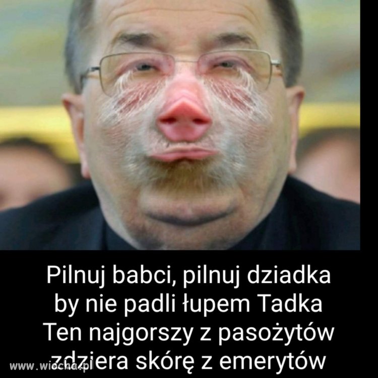 Uważajcie na babcię i dziadka