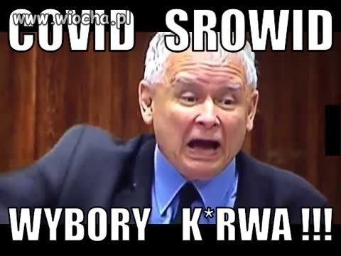 Wybory 2020