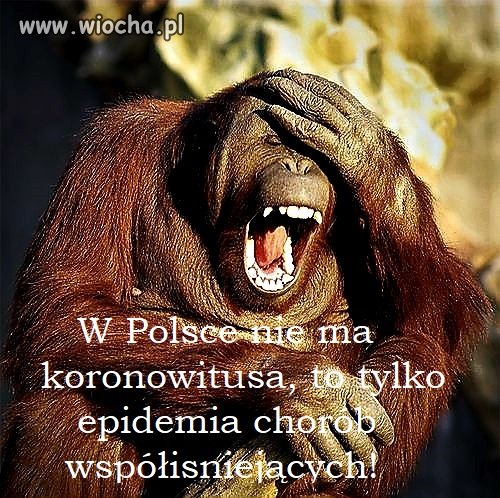Bez tytułu.