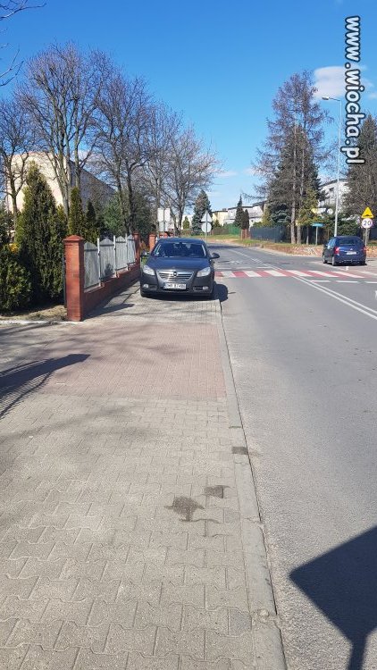Pańcia parkuje