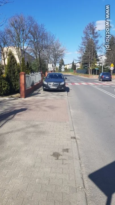 Pańcia parkuje