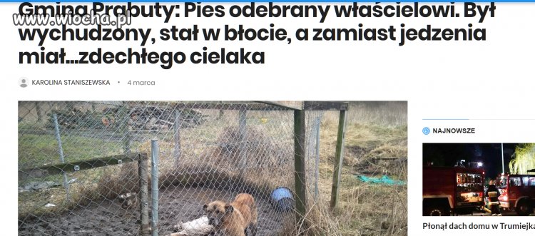 Zadupie Prabuty