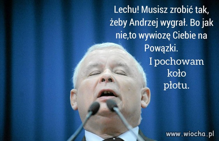 Lechu ... musisz 