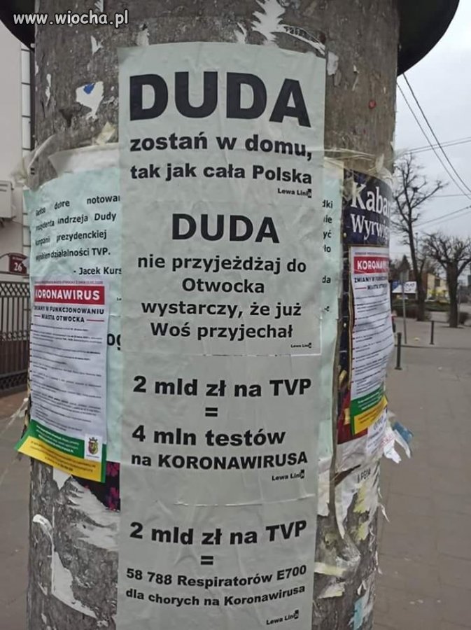 Tylko jeden kandydat prowadzi aktywnie kampanie...