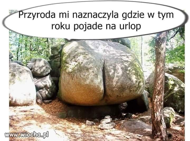 Chyba nici z tegorocznych planów urlopowych...