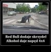 Napęd na cztery 