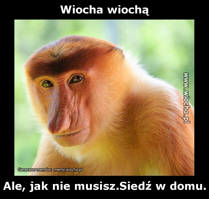 Wiocha wiochą