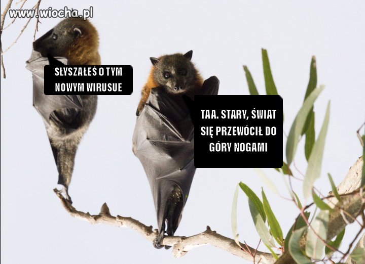 Przemyślenia 