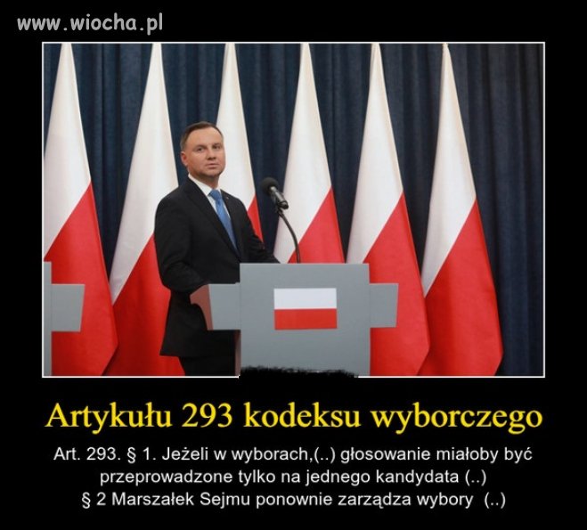 Wybory.
