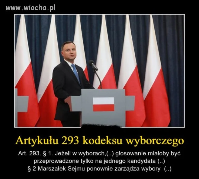 Wybory.