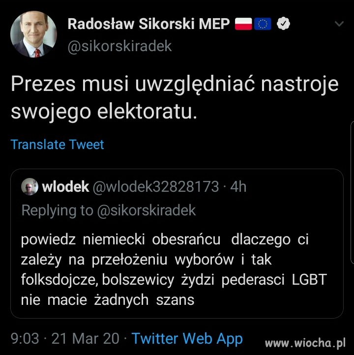 Włodek polski młotek