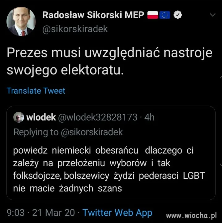 Włodek polski młotek