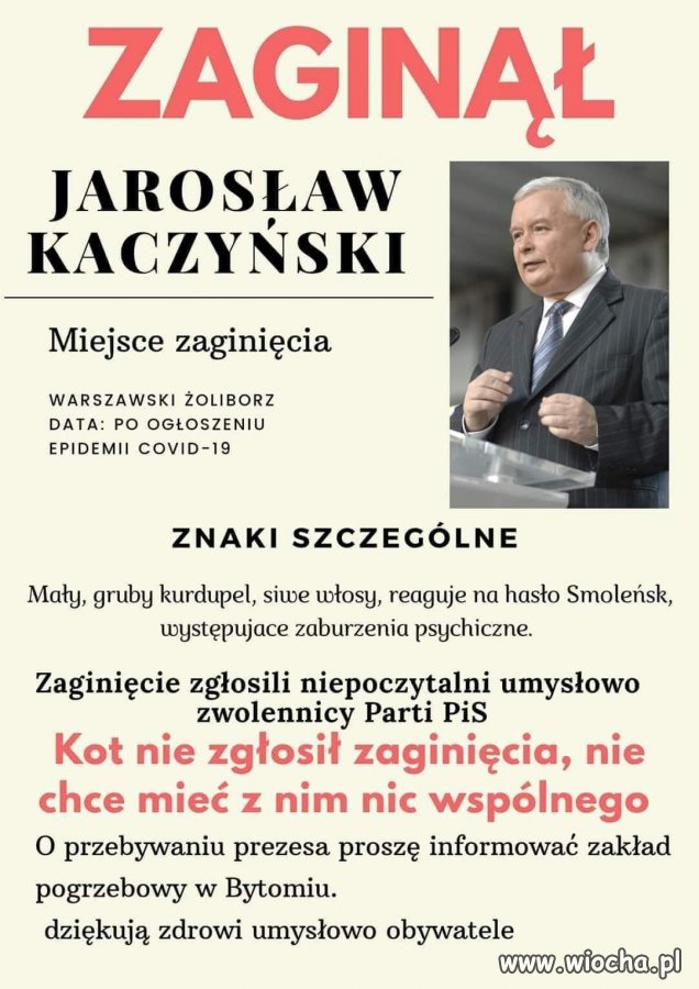 Zaginął 