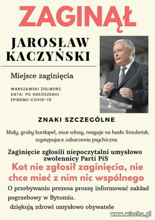 Zaginął 