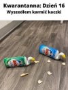 16 dzień kwarantanny