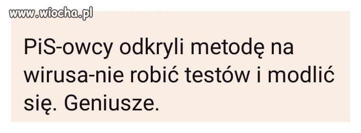 Brawo wy